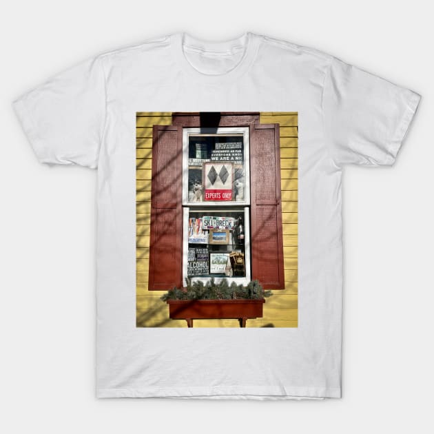 Breckenridge Ski Window T-Shirt by cbernstein